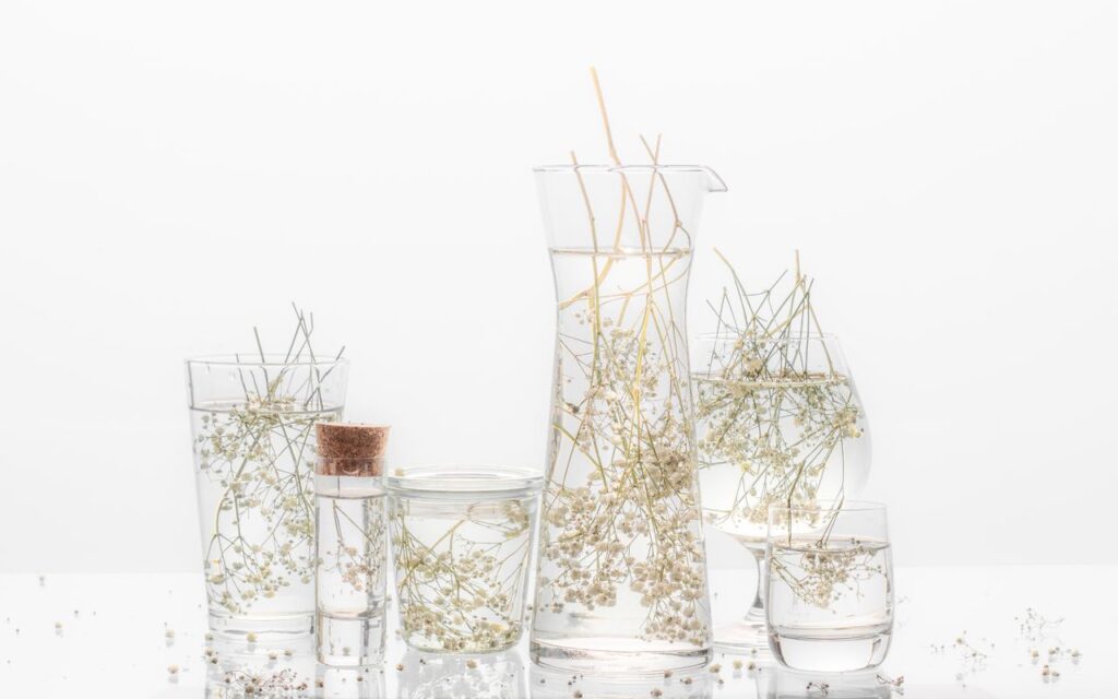 Aesthetic display of flowers in various glass vases on a white background, showcasing minimalism.